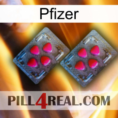 Pfizer 14